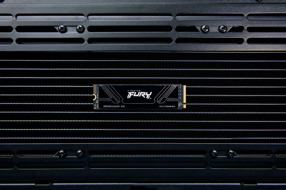 Kingston Technology 1T FURY RENEGADE G5 M.2 2280 NVMe SSD
