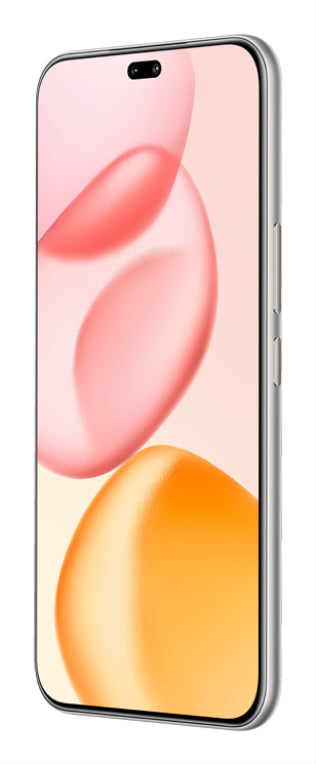 Honor 400 Pro 17 cm (6,7") MagicOS 9.0 5G 12 GB 512 GB 5300 mAh Gris