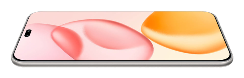 Honor 400 Pro 17 cm (6,7") MagicOS 9.0 5G 12 GB 512 GB 5300 mAh Gris