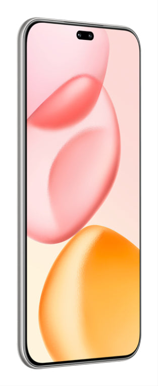 Honor 400 Pro 17 cm (6,7") MagicOS 9.0 5G 12 GB 512 GB 5300 mAh Gris