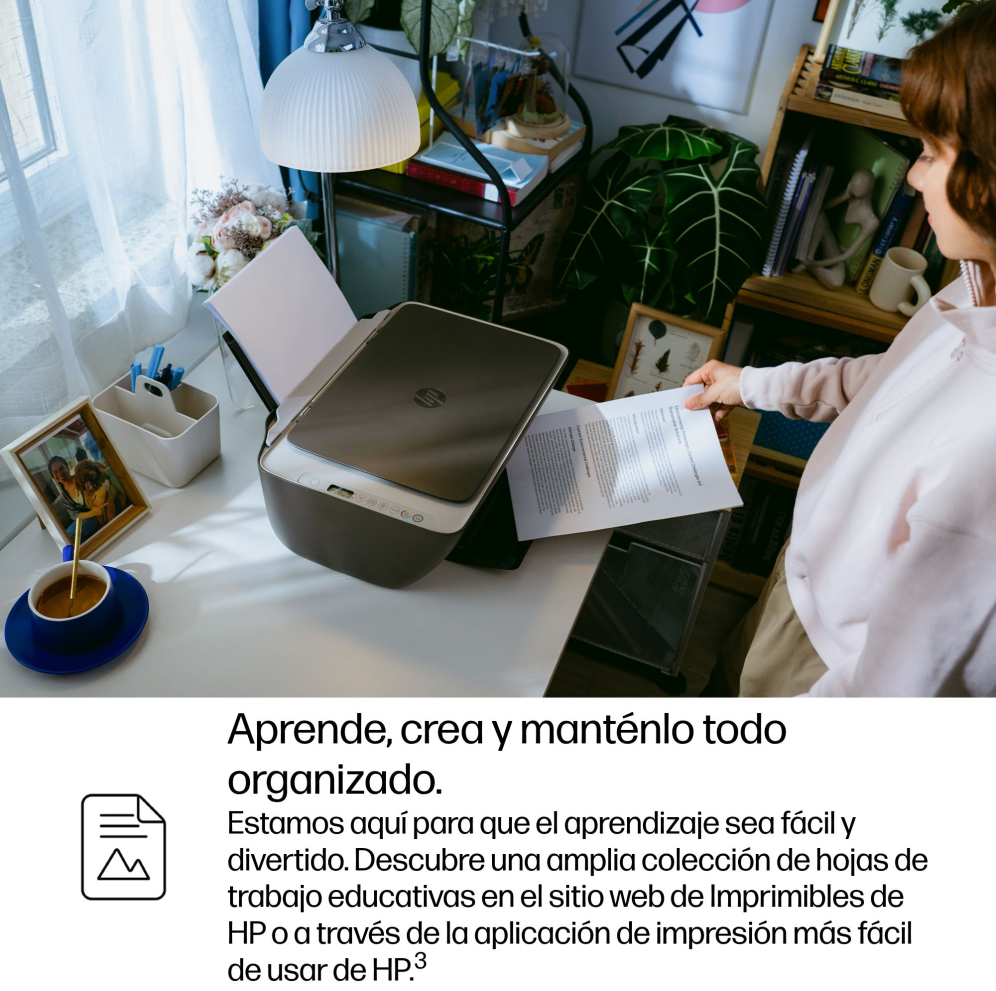 HP DeskJet 2910 Inalámbrico All-in-One Color Impresora - detalle