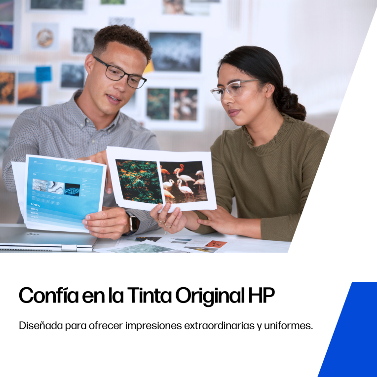 HP Paquete de 2 cartuchos de tinta original 305 tricolor / negro - detalle