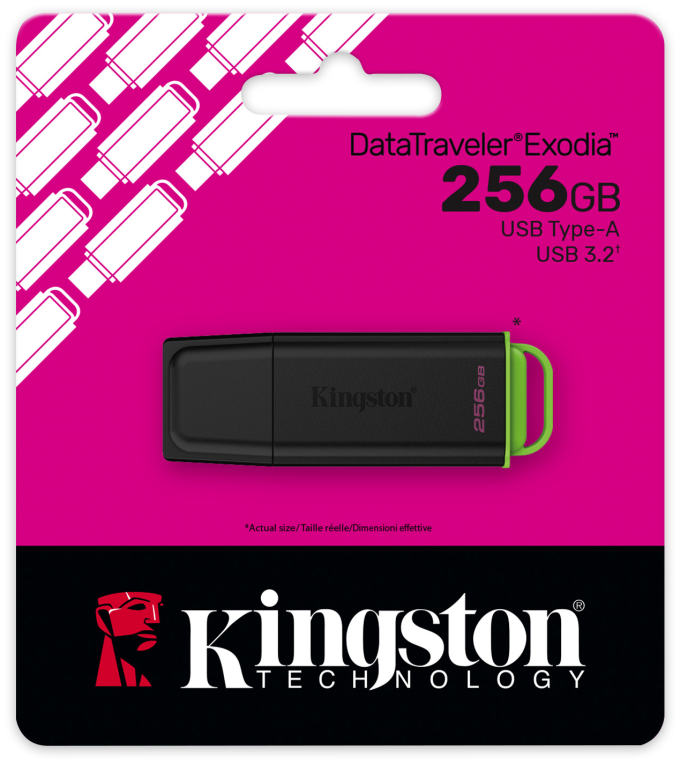Kingston Technology DataTraveler 256GB Portátil USB 3.2 Gen 1 Exodia Negro + Verde - detalle