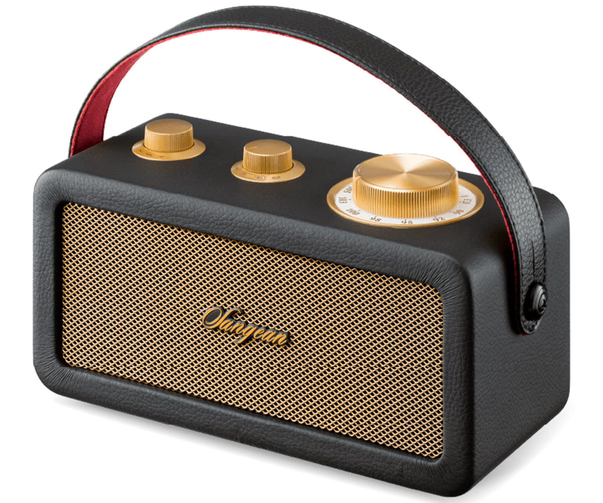SANGEAN RA-101 BLACK GOLD / ALTAVOZ PORTÁTIL - detalle