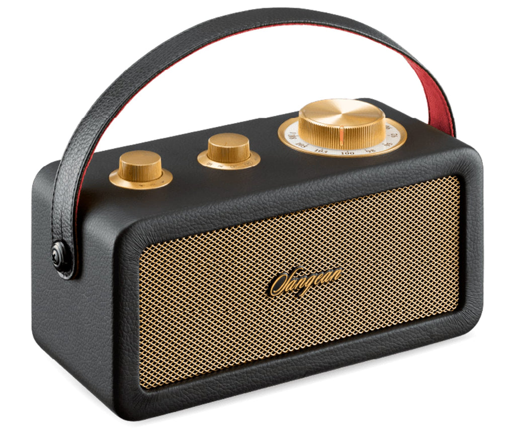 SANGEAN RA-101 BLACK GOLD / ALTAVOZ PORTÁTIL - detalle