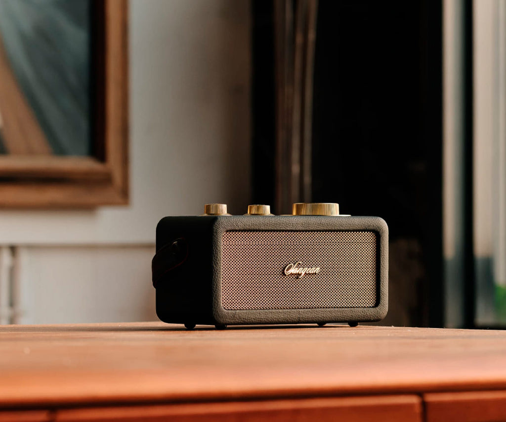 SANGEAN RA-101 BLACK GOLD / ALTAVOZ PORTÁTIL - detalle