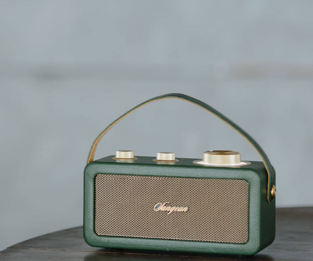 SANGEAN RA-101 FOREST GOLD / ALTAVOZ PORTÁTIL - detalle
