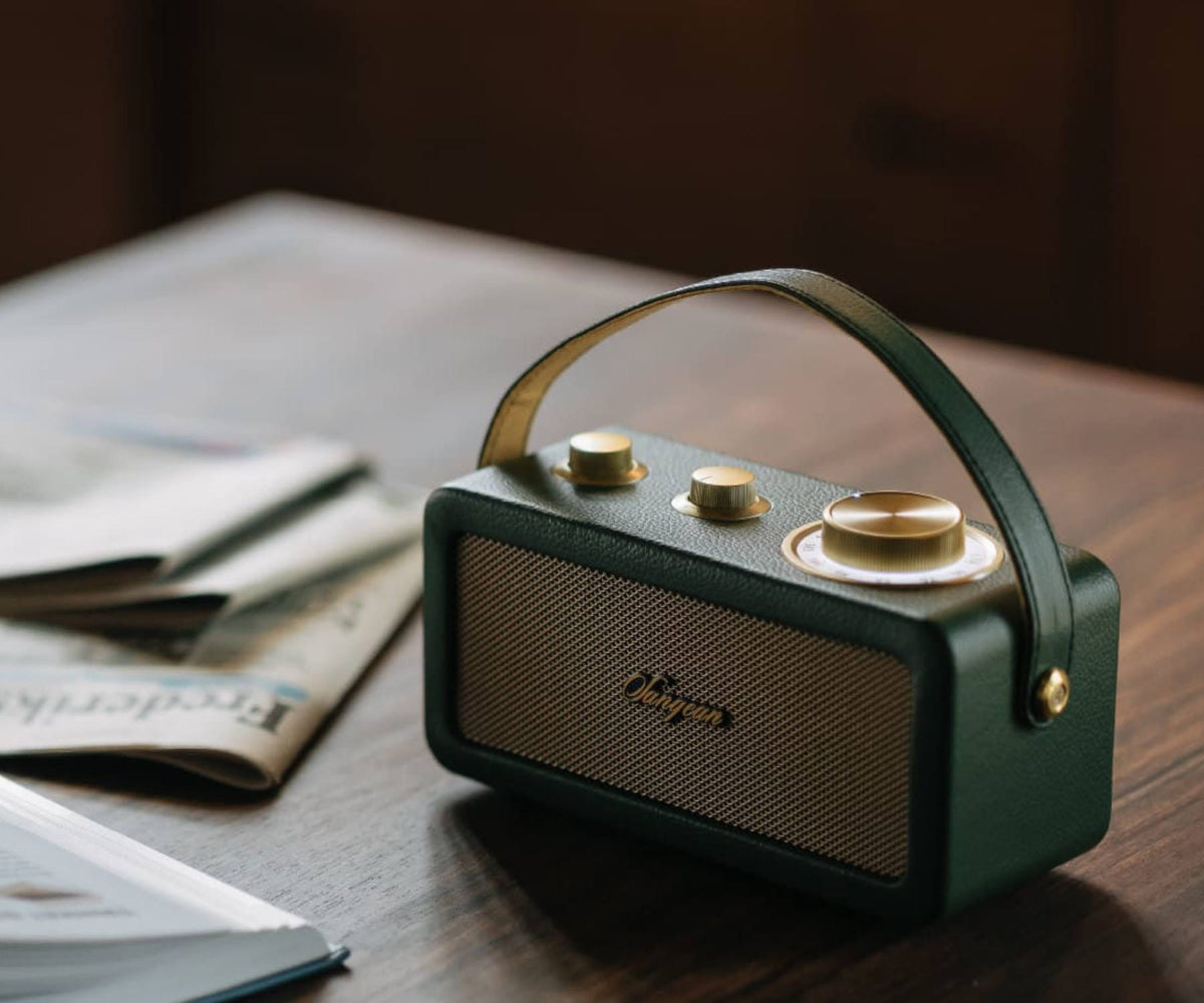 SANGEAN RA-101 FOREST GOLD / ALTAVOZ PORTÁTIL - detalle