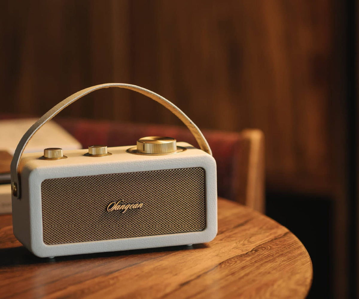 SANGEAN RA-101 IVORY GOLD / ALTAVOZ PORTÁTIL - detalle