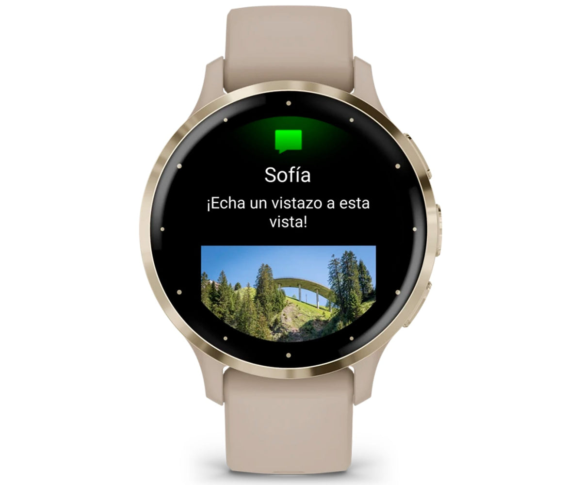 GARMIN VENU 3S FRENCH GREY / SMARTWATCH 41MM - detalle