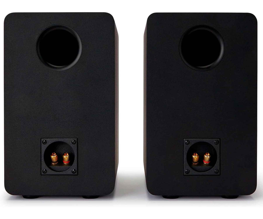 AIWA SP-A100 BLACK / ALTAVOCES HIFI PASIVOS DE ESTANTERÍA - detalle