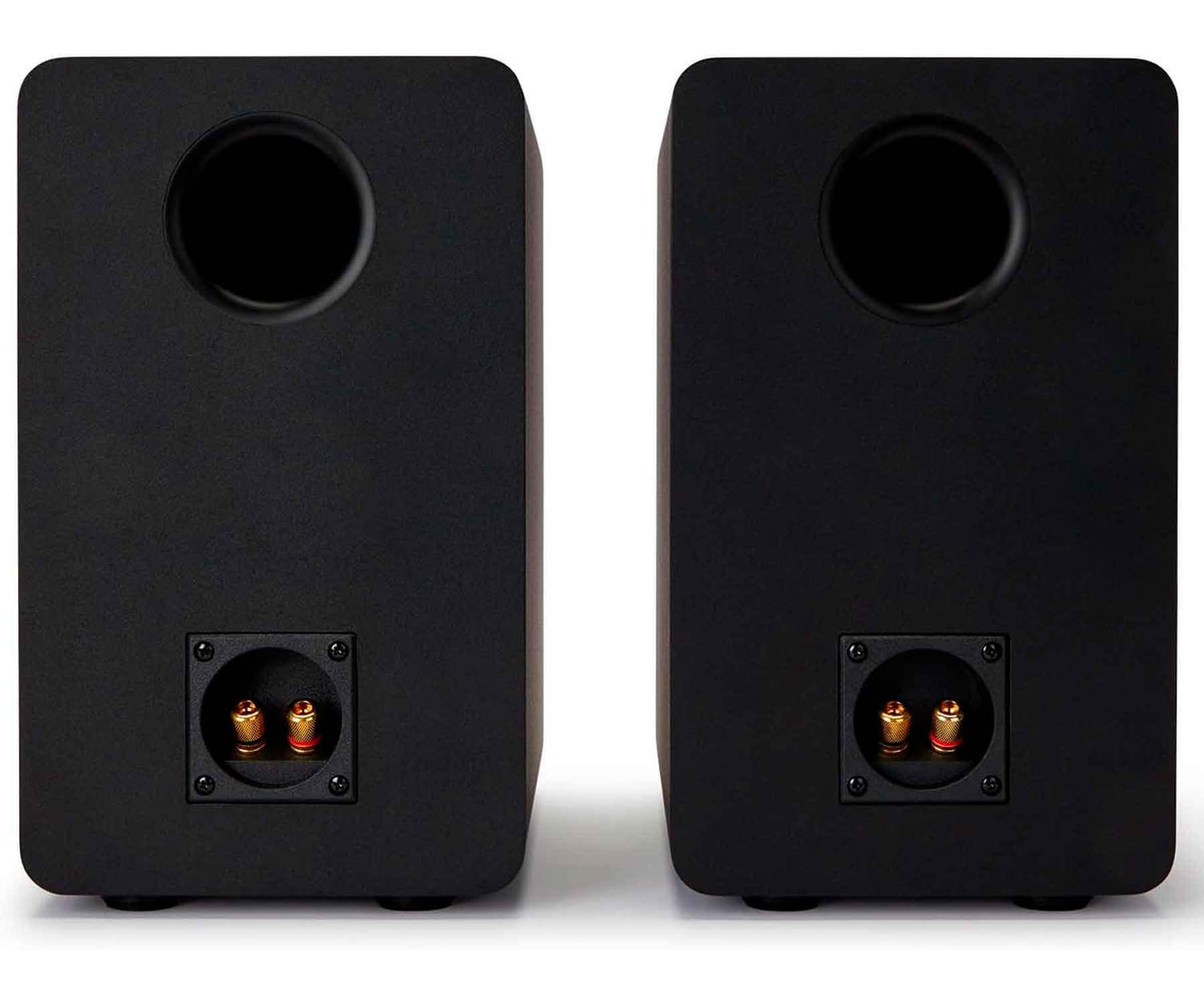 AIWA SP-A100 BLACK / ALTAVOCES HIFI PASIVOS DE ESTANTERÍA - detalle