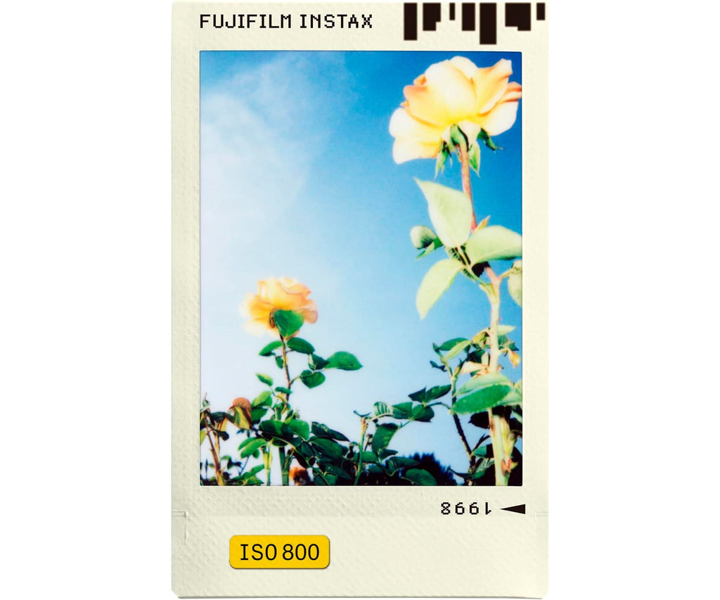 FUJIFILM INSTANT FILM MINI PHOTO SLIDE / PELÍCULA FOTOGRÁFICA INSTANTÁNEA (10 HOJAS) - detalle