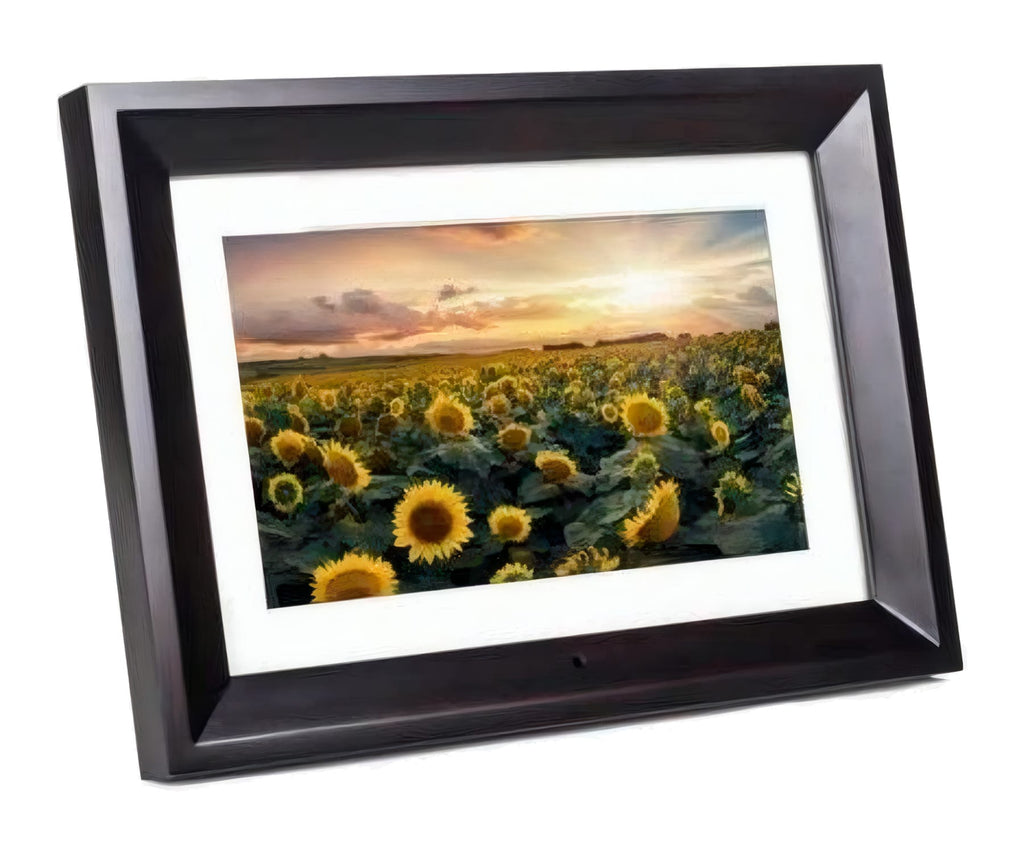KODAK RDPF1020B BLACK / MARCO DIGITAL 10"
