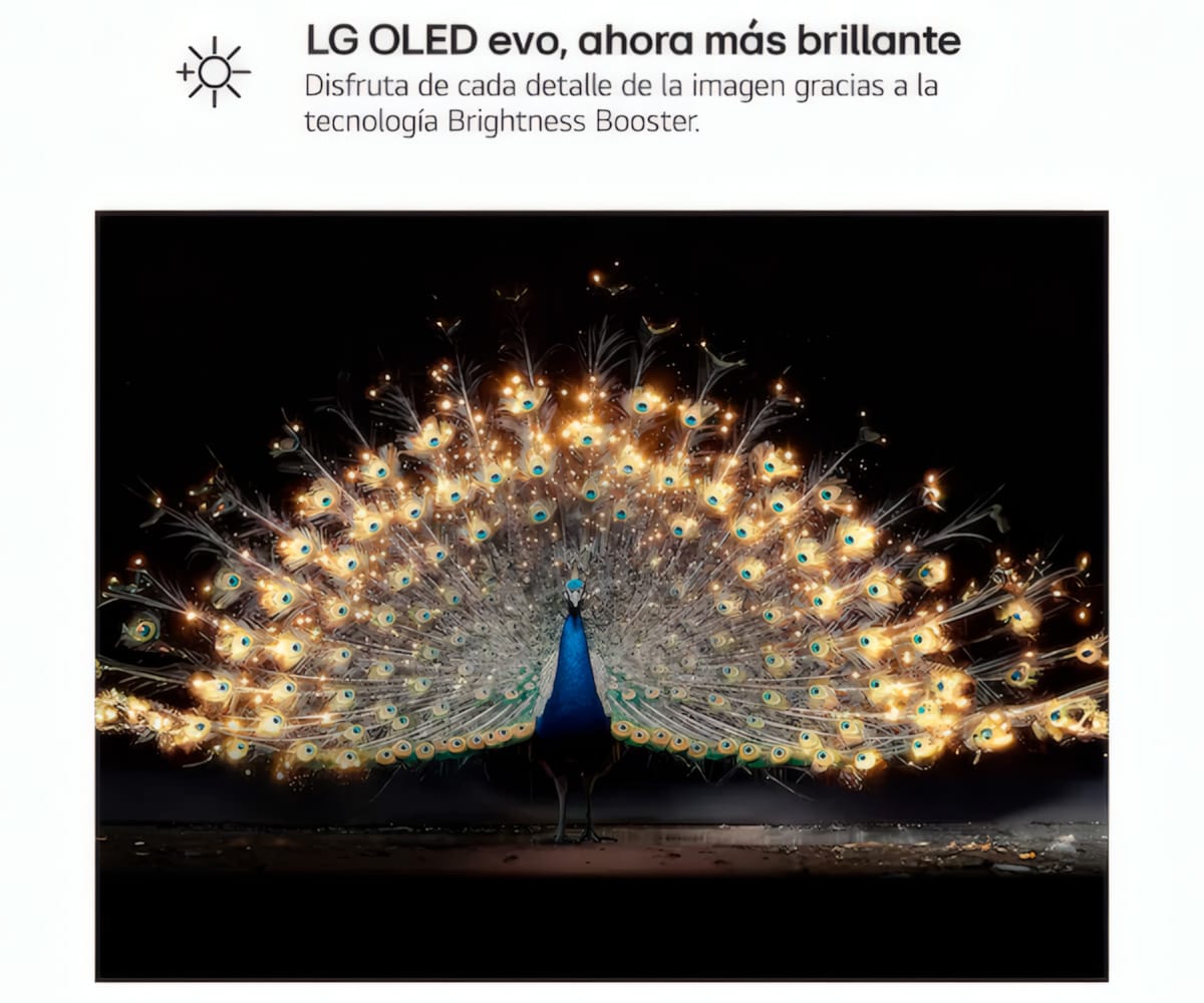 LG OLED EVO AI C6 / TELEVISOR SMART TV 65" OLED / 165HZ VRR / UHD 4K HDR - detalle