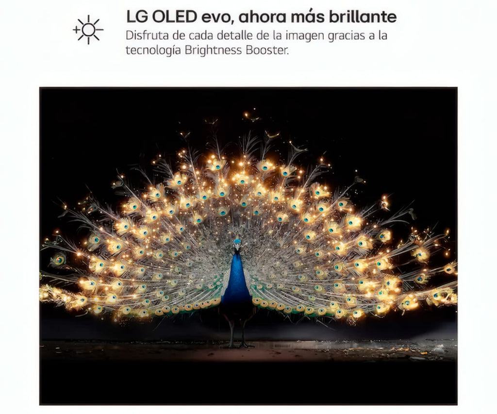 LG OLED EVO AI C6 / TELEVISOR SMART TV 48" OLED / 165HZ VRR / UHD 4K HDR - detalle