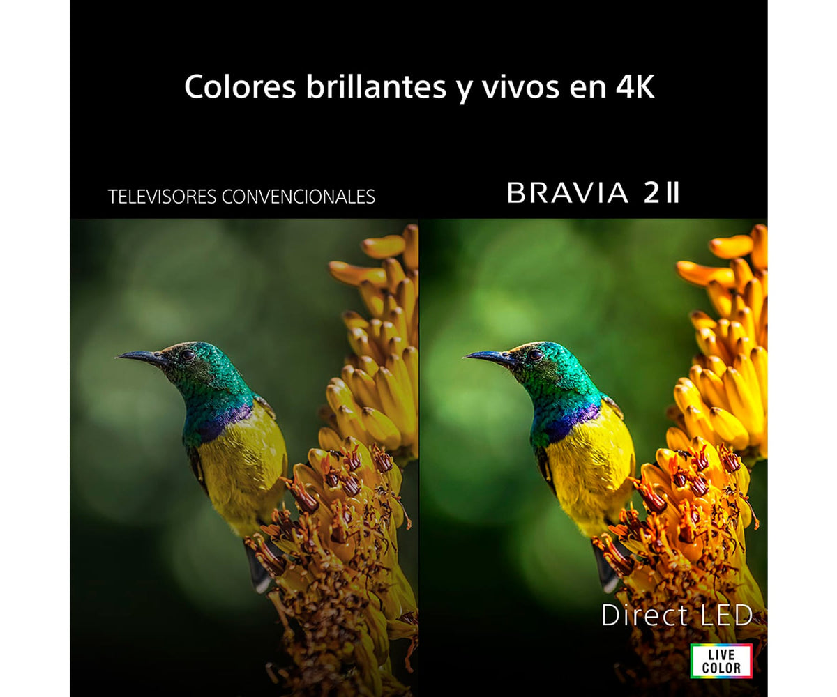 SONY BRAVIA 2 II K-65S25M2 / TELEVISOR SMART TV 65" DIRECT LED UHD 4K HDR - detalle
