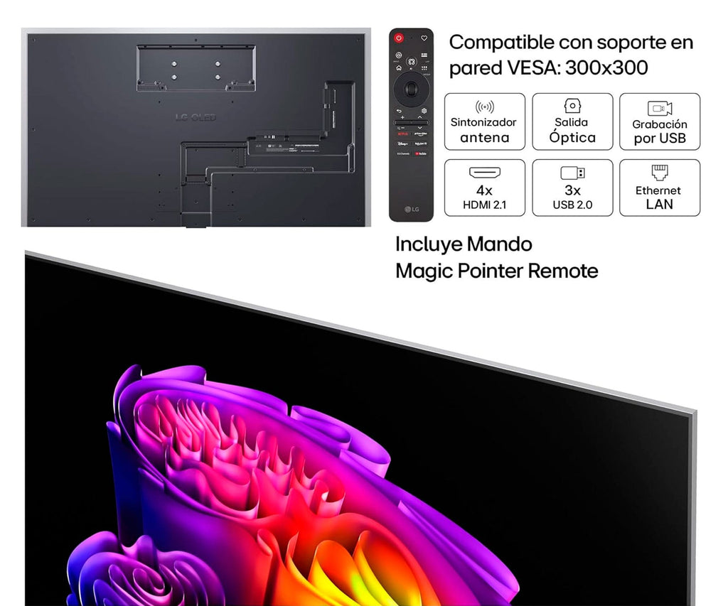 LG OLED EVO AI C6 / TELEVISOR SMART TV 65" OLED / 165HZ VRR / UHD 4K HDR - detalle
