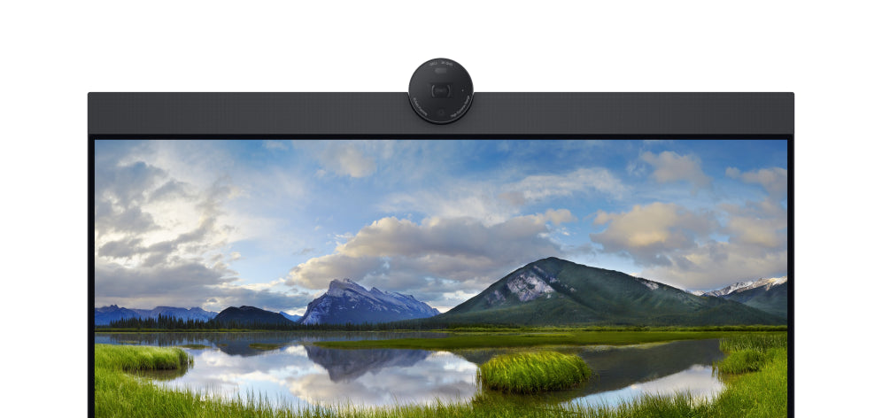 DELL P2424HEB 60.5 cm (23.8") LCD 1920 x 1080 Pixeles Full HD