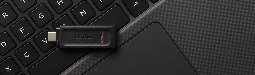 Kingston Technology DataTraveler 256GB USB-C 3.2 Gen 1 70 - detalle