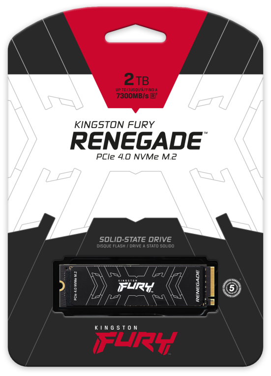 Kingston Technology 2000G FURY RENEGADE M.2 2280 NVMe SSD - detalle
