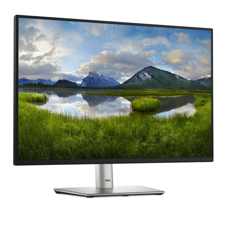Monitor para PC DELL Pro Plus P2425E, 61,1 cm (24,1"), 1920 x 1200 píxeles, LCD WUXGA, negro