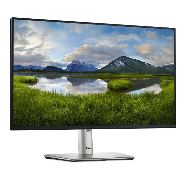 Pantalla para PC DELL Pro Plus P2425HE de 60,5 cm (23,8"), 1920 x 1080 píxeles, LCD Full HD, negra