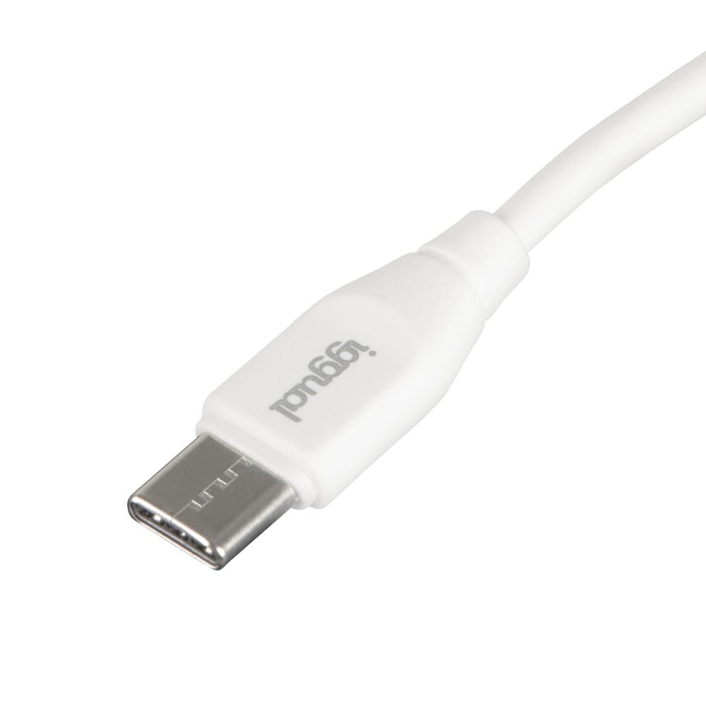 iggual Cable USB-C/USB-C 100 cm blanco Q3.0 3A 60W