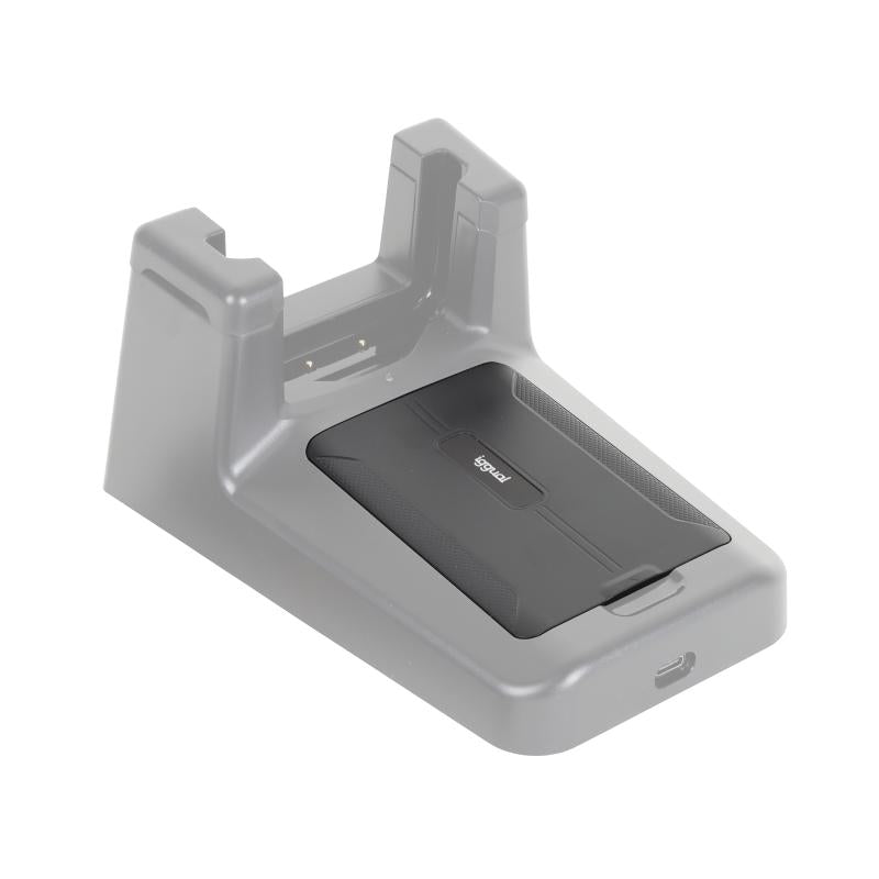 iggual Batería PDA 5000 mAh 19.25Wh 3.85V-4.4V - detalle