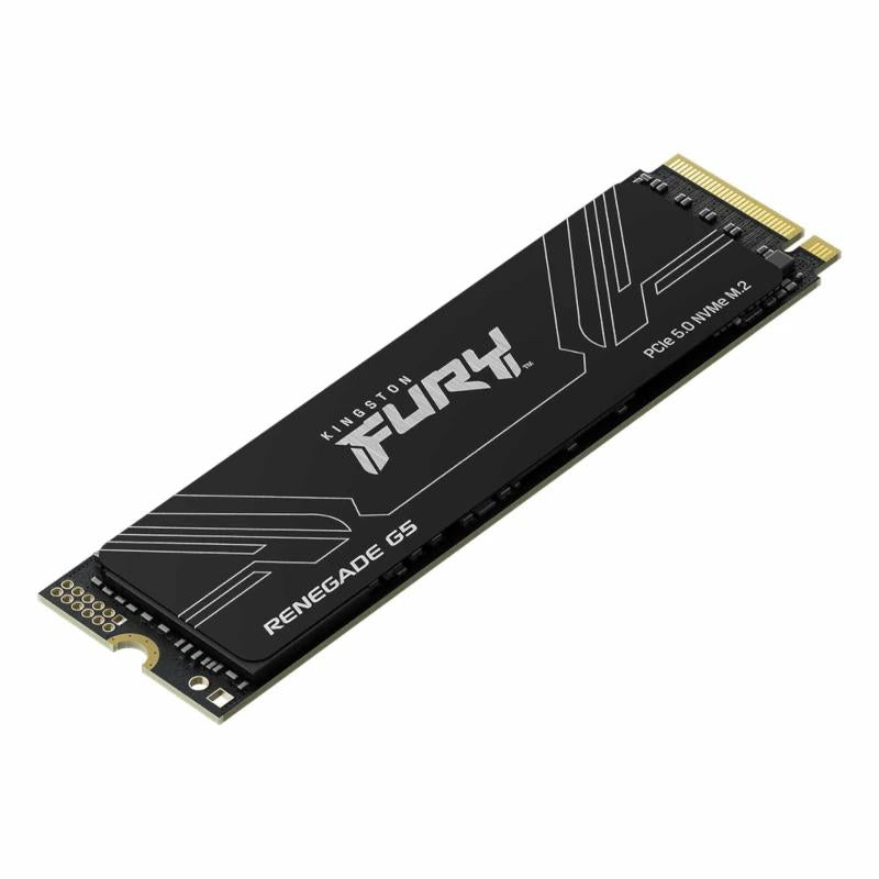 SSD Kingston Fury Renegade G5, 1 TB, PCIe5.0, 14200 MB/s 
