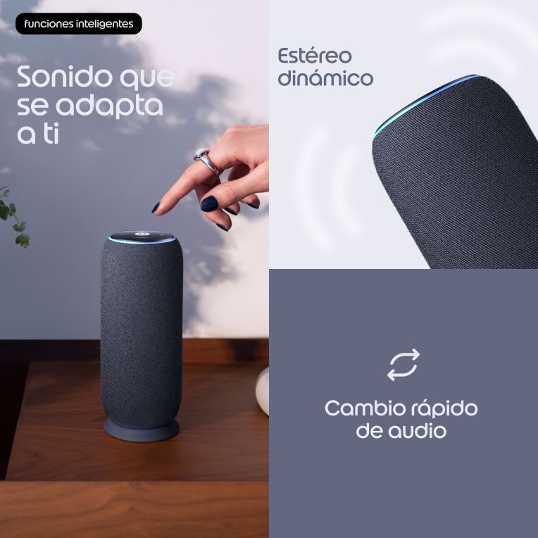 ALTAVOZ MOTOROLA MOTO SOUND FLOW BLUETOOTH CARBON - detalle