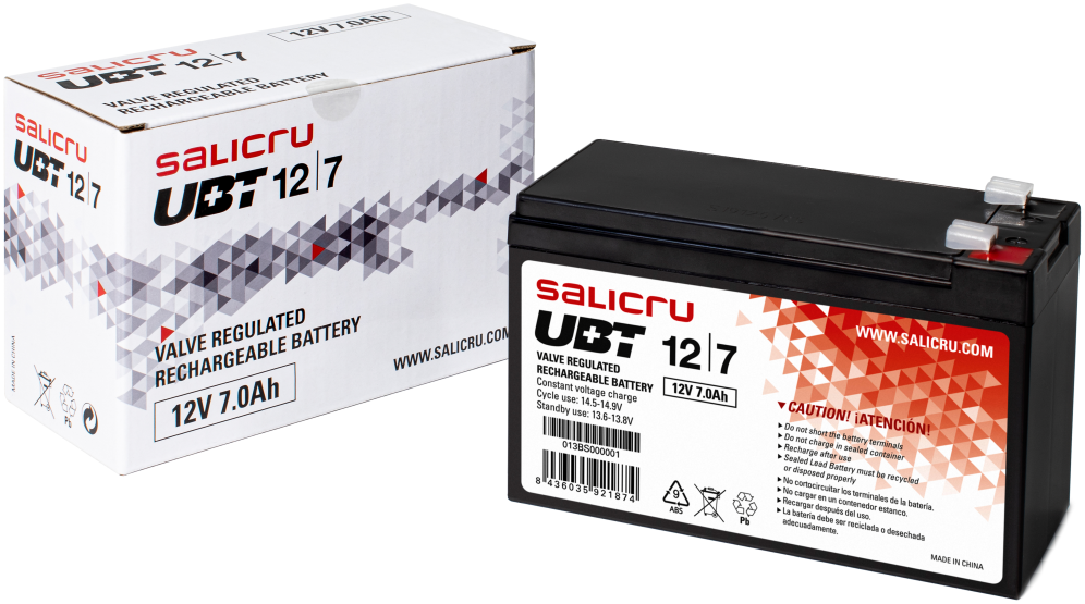 BATERIA SAI SALICRU UBT 12/7 - detalle