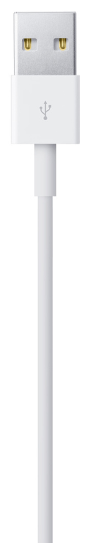 CABLE APPLE LIGHTNING TO USB BLANCO 1M - detalle