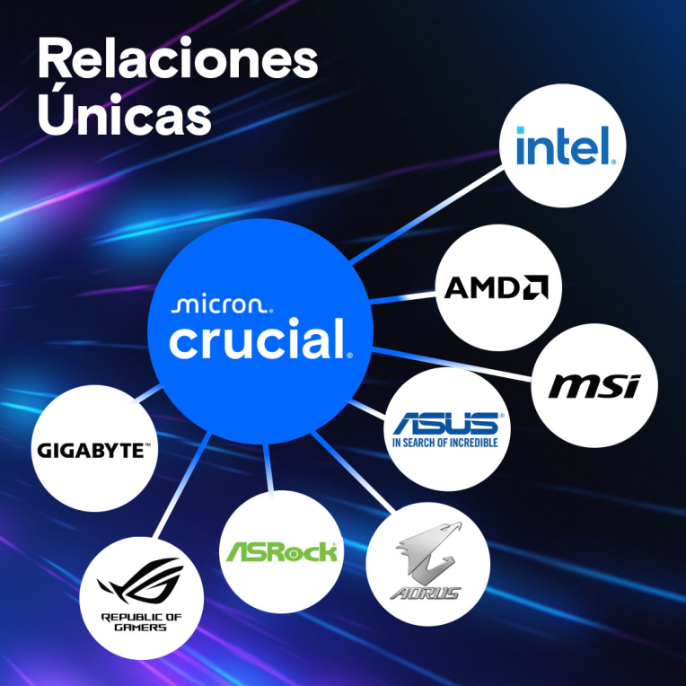 CRUCIAL PRO 128GB KIT2 DDR5-5600 UDIMM - detalle