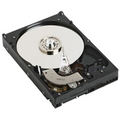 Disco duro interno Dell de 1TB, 7.2K RPM, SATA 6Gbps, 3.5 pulgadas, con cable, para servidor.