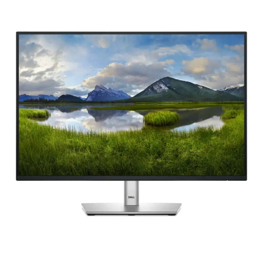 DELL Pro Plus P2425E pantalla para PC 61.1 cm (24.1") 1920 x 1200 Pixeles WUXGA LCD Negro - detalle