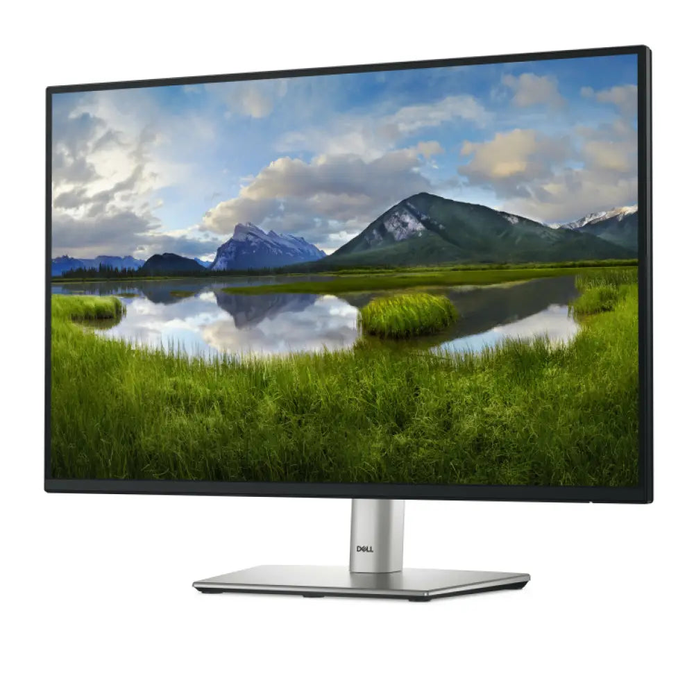 DELL Pro Plus P2425E pantalla para PC 61.1 cm (24.1") 1920 x 1200 Pixeles WUXGA LCD Negro - detalle
