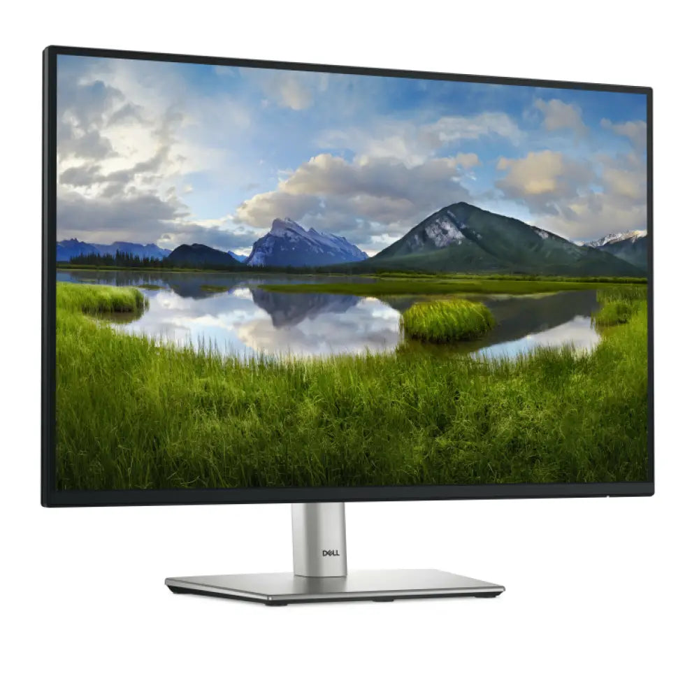 DELL Pro Plus P2425E pantalla para PC 61.1 cm (24.1") 1920 x 1200 Pixeles WUXGA LCD Negro - detalle
