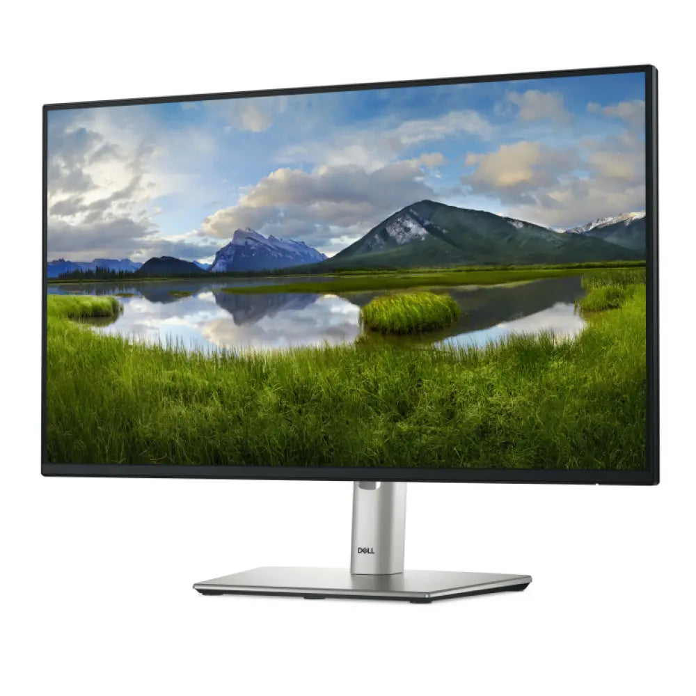 DELL Pro Plus P2425HE pantalla para PC 60.5 cm (23.8") 1920 x 1080 Pixeles Full HD LCD Negro - detalle