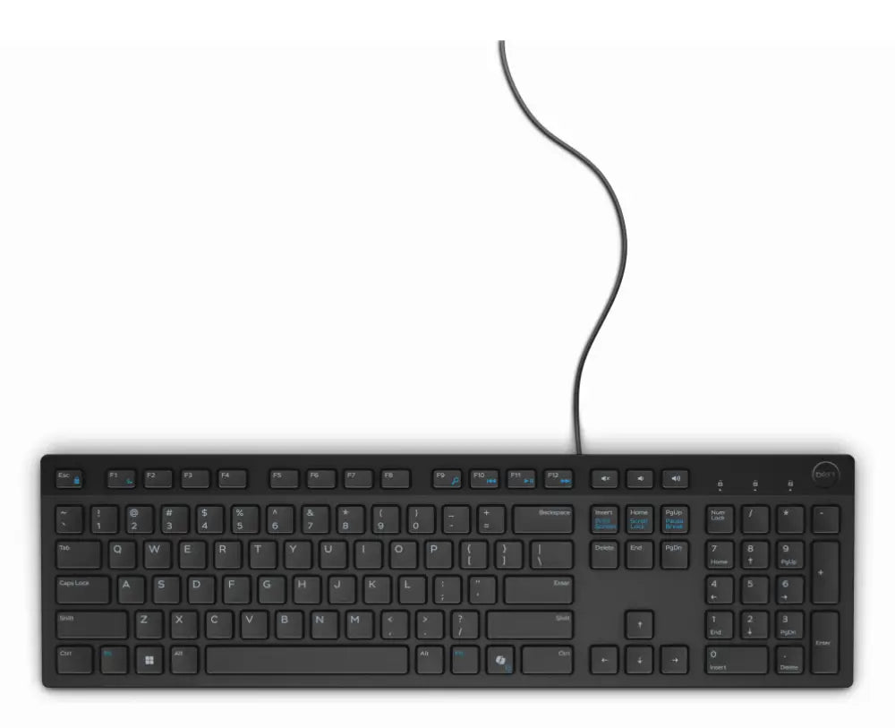 DELL Teclado con cable - KB216 - español (QWERTY) - negro - detalle
