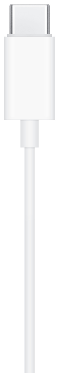 EarPods(USB-C) - detalle