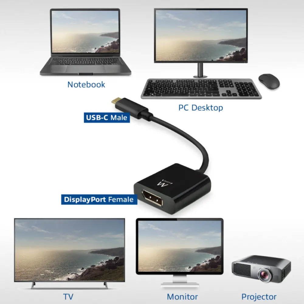 Ewent EW9825 adaptador de cable de vídeo 0.15 m USB Tipo C DisplayPort Negro - detalle