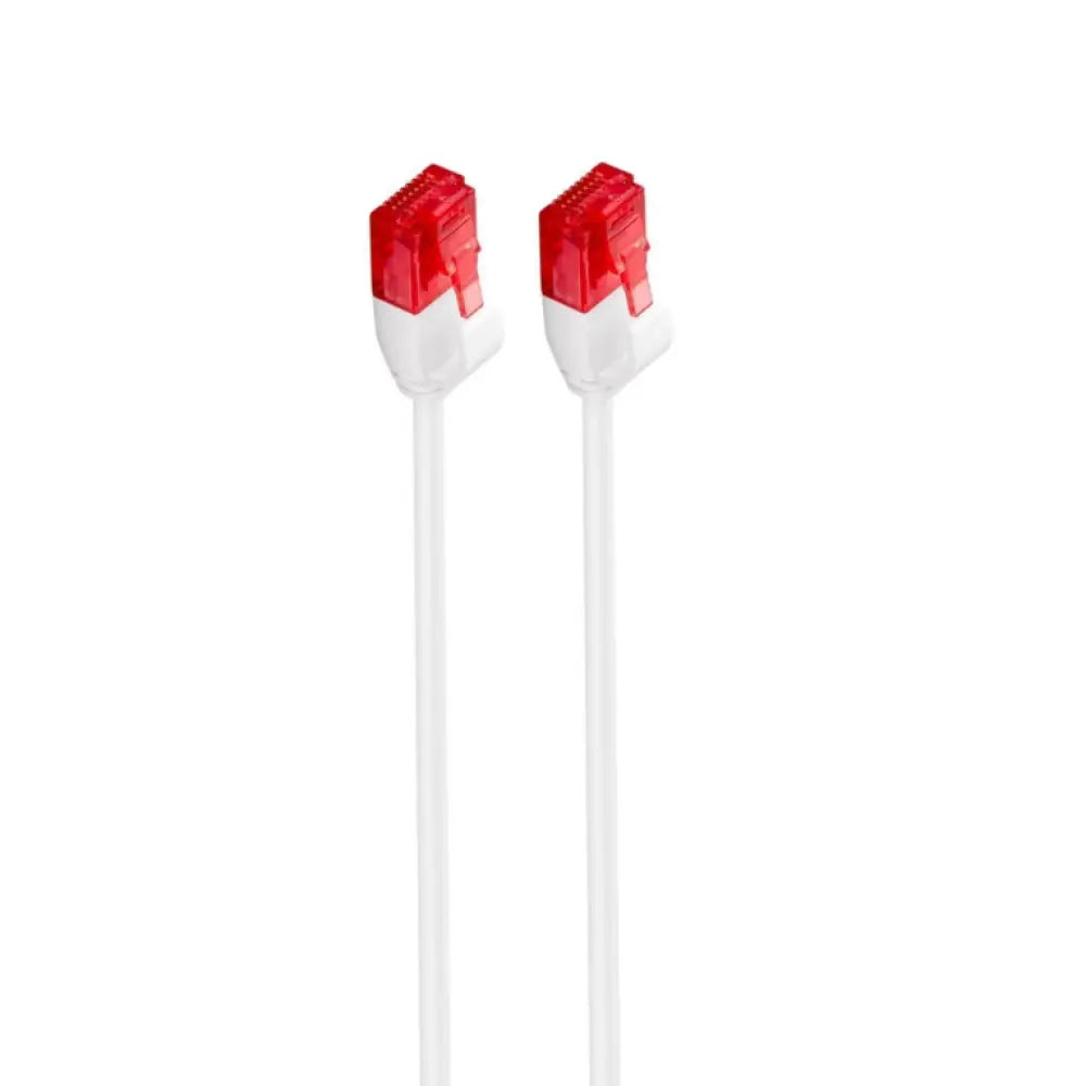 Ewent IM1037 cable de red Blanco 1 m Cat6 U/UTP (UTP) - detalle
