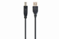 Gembird CCP-USB2-AMBM-6 cable USB 1.82 m USB A USB B Negro
