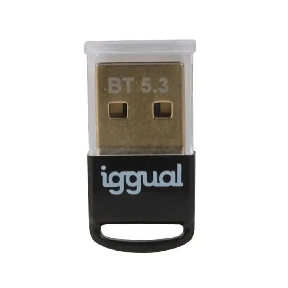 iggual Adaptador USB 2.0 mini Bluetooth 5.3 - detalle