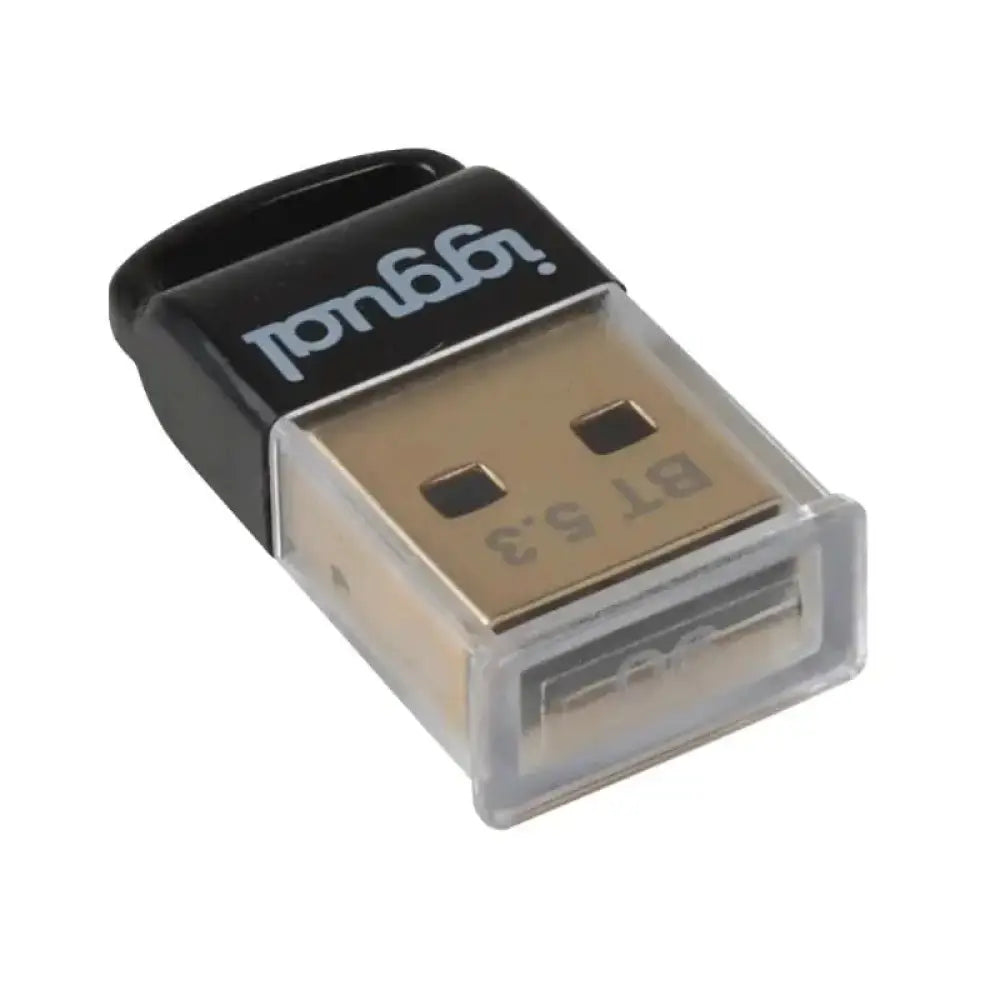 iggual Adaptador USB 2.0 mini Bluetooth 5.3 - detalle