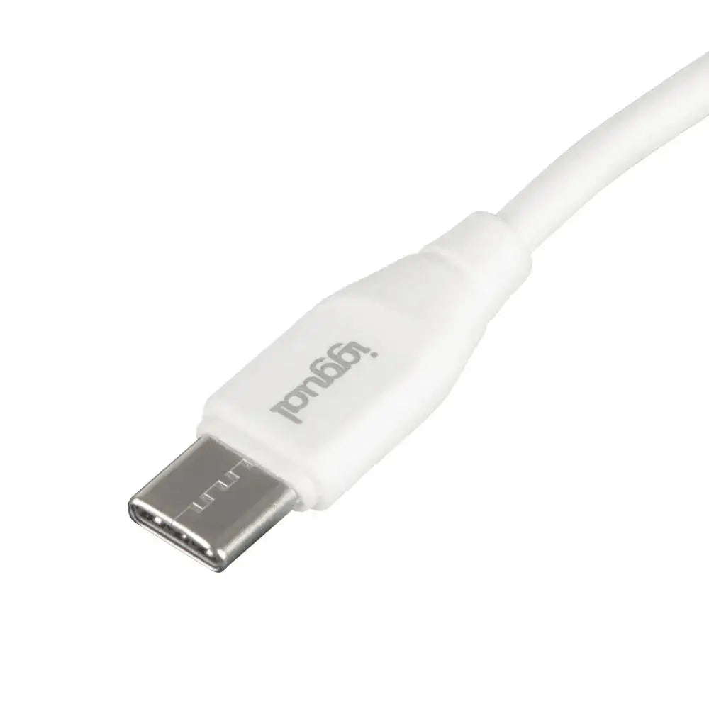 iggual Cable USB-C/USB-C 100 cm blanco Q3.0 3A 60W - detalle