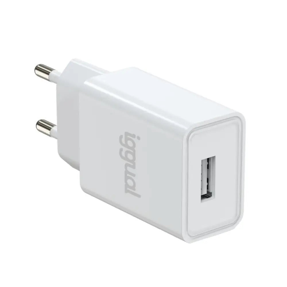iggual Cargador de pared 1xUSB 5V/2A (10W) - detalle