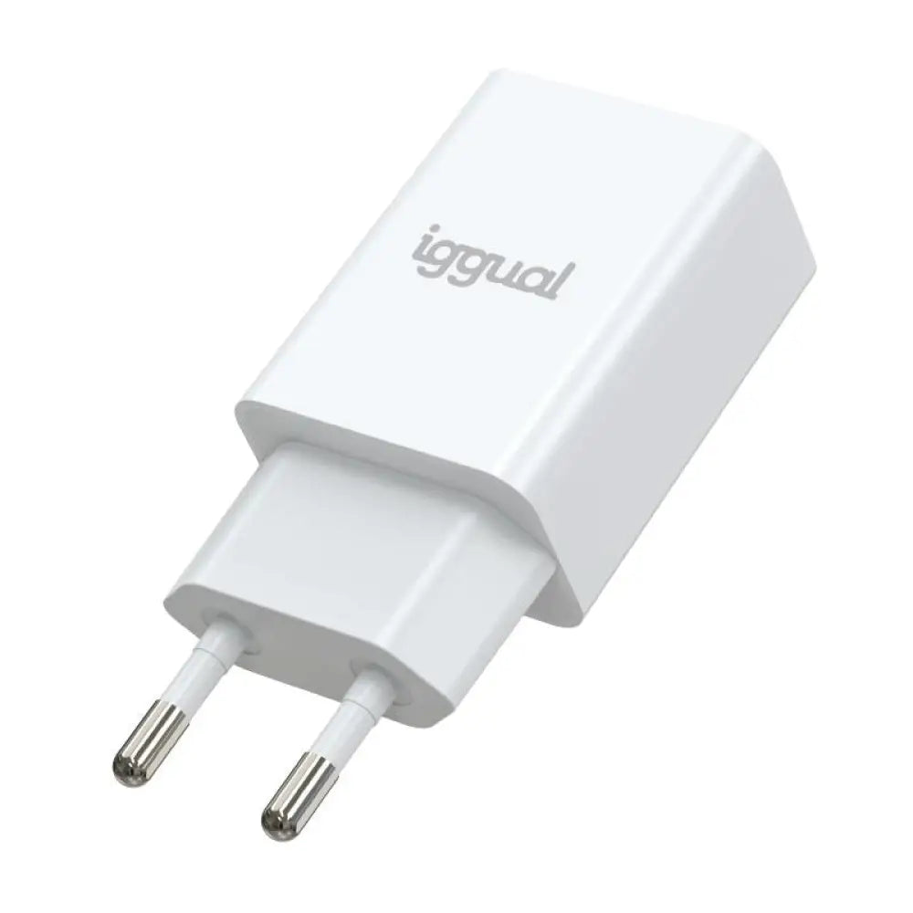 iggual Cargador de pared 1xUSB 5V/2A (10W)