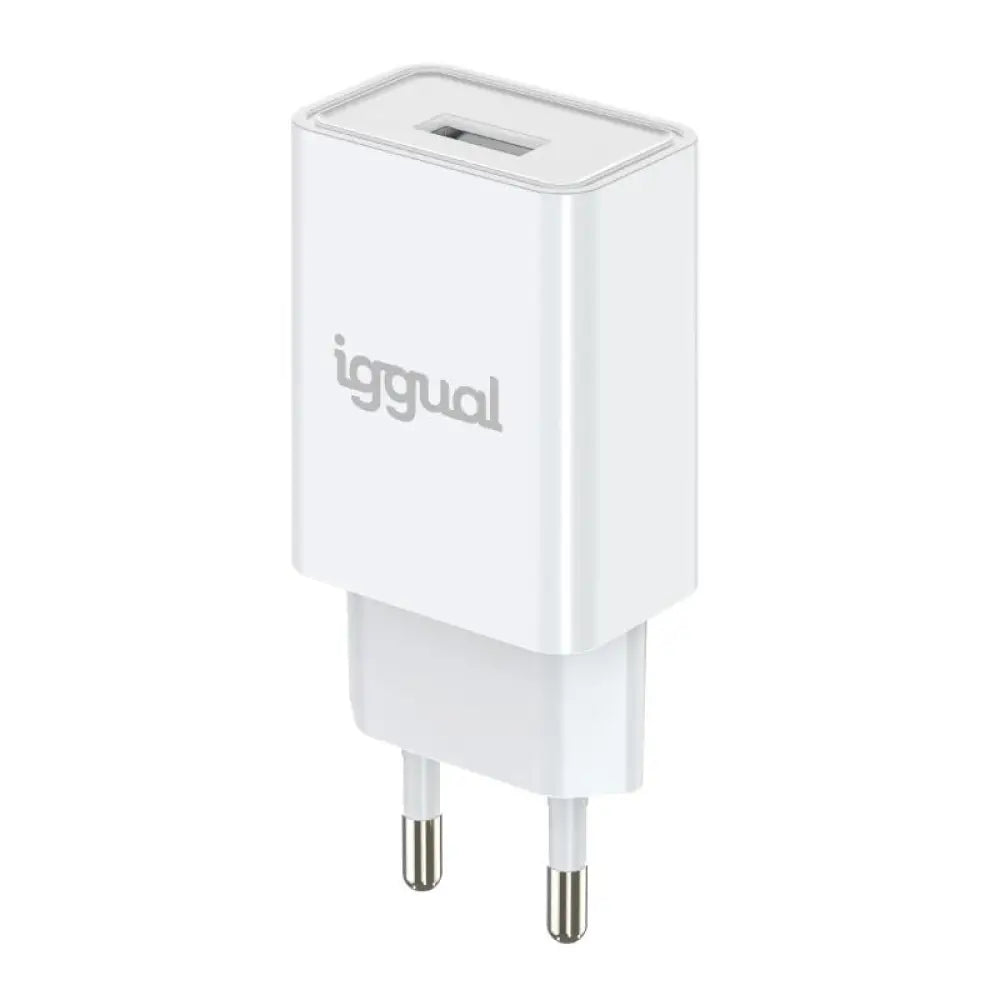 iggual Cargador de pared 1xUSB 5V/2A (10W) - detalle